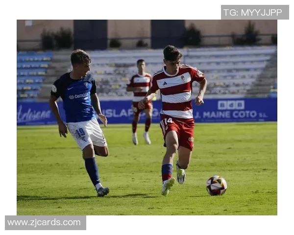 洞察欧洲五大联赛格局与球队新赛季竞争态势深度解析前瞻全景