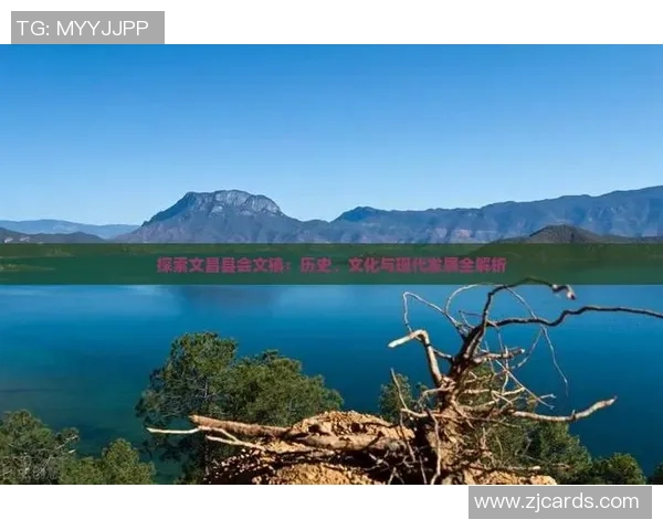 深水之跃展现竞技魅力的跳水运动全景解析与训练探索技战术实践法